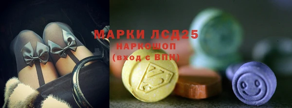 гашик Алзамай