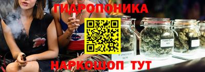 apvp Нягань