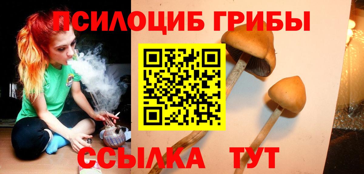 Галлюциногенные грибы Magic Shrooms Тобольск