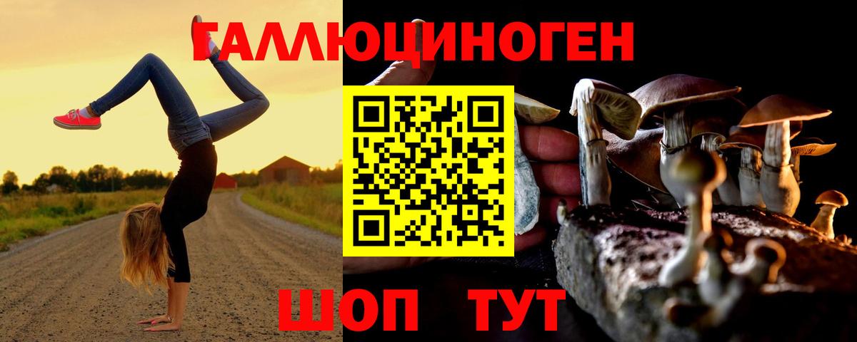 Галлюциногенные грибы Psilocybine cubensis  Вход с VPN  дарнет шоп  Тобольск 